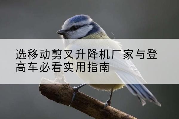 诏安电动升降机厂家-选移动剪叉升降机厂家与登高车必看实用指南
