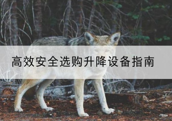 诏安升降货梯厂家推荐-*安全选购升降设备指南