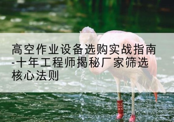 诏安剪叉式升降机厂家-高空作业设备选购实战指南-十年工程师揭秘厂家筛选核心法则